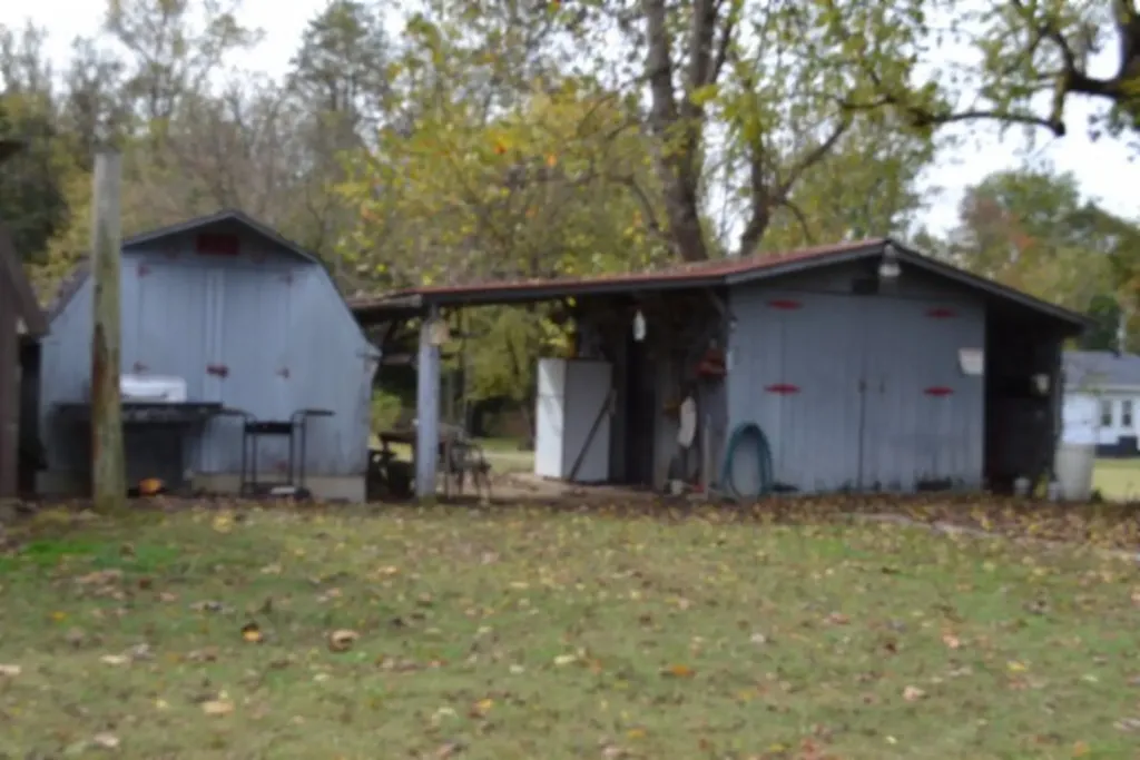 218 E Lake Avenue Celina TN 38551