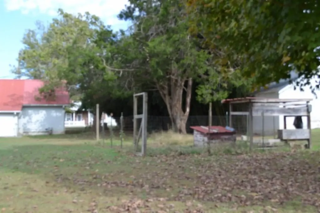 218 E Lake Avenue Celina TN 38551