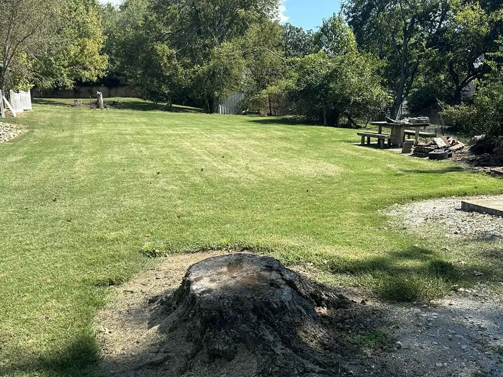 636 Carmack Avenue Carthage TN 37030-1139