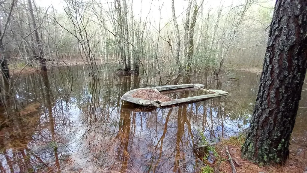 Lot 22 Timber Valley Trail (PCA) Rockwood TN 37854