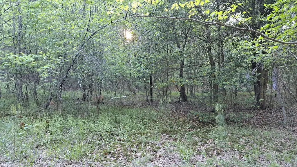 Lot 22 Timber Valley Trail (PCA) Rockwood TN 37854