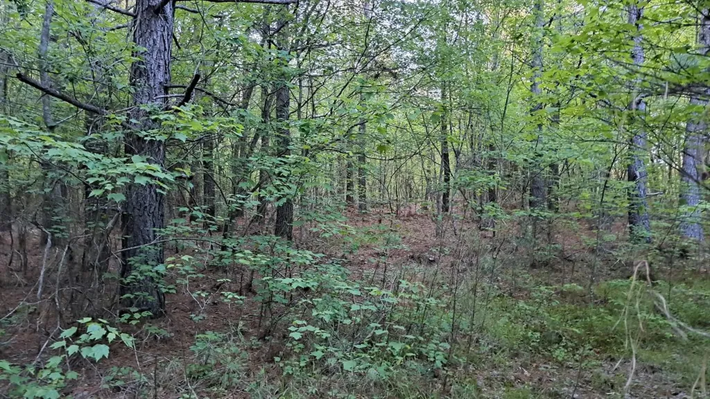 Lot 22 Timber Valley Trail (PCA) Rockwood TN 37854