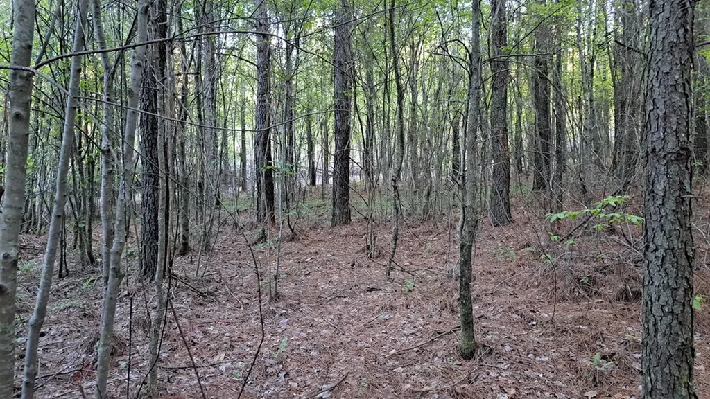 Lot 22 Timber Valley Trail (PCA) Rockwood TN 37854