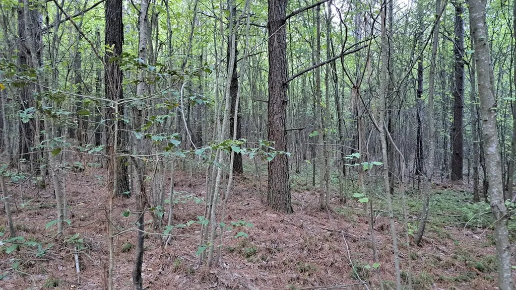 Lot 22 Timber Valley Trail (PCA) Rockwood TN 37854