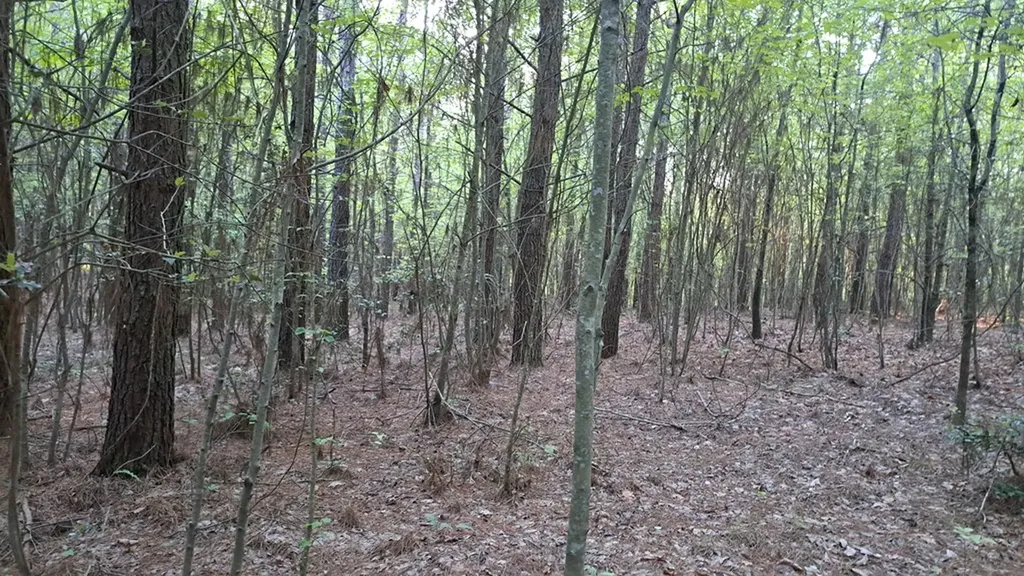 Lot 22 Timber Valley Trail (PCA) Rockwood TN 37854