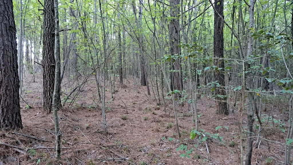 Lot 22 Timber Valley Trail (PCA) Rockwood TN 37854