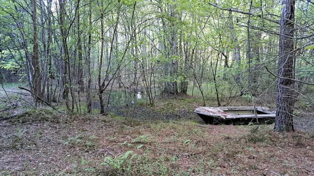 Lot 22 Timber Valley Trail (PCA) Rockwood TN 37854