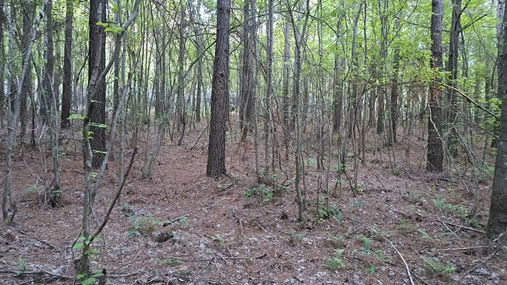 Lot 22 Timber Valley Trail (PCA) Rockwood TN 37854