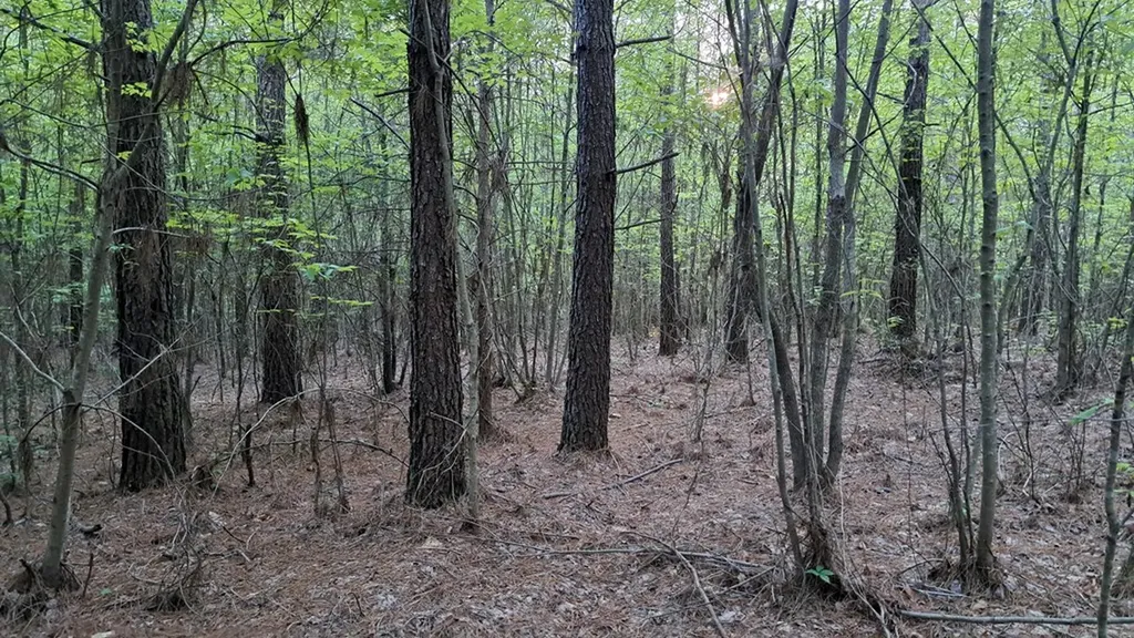 Lot 22 Timber Valley Trail (PCA) Rockwood TN 37854