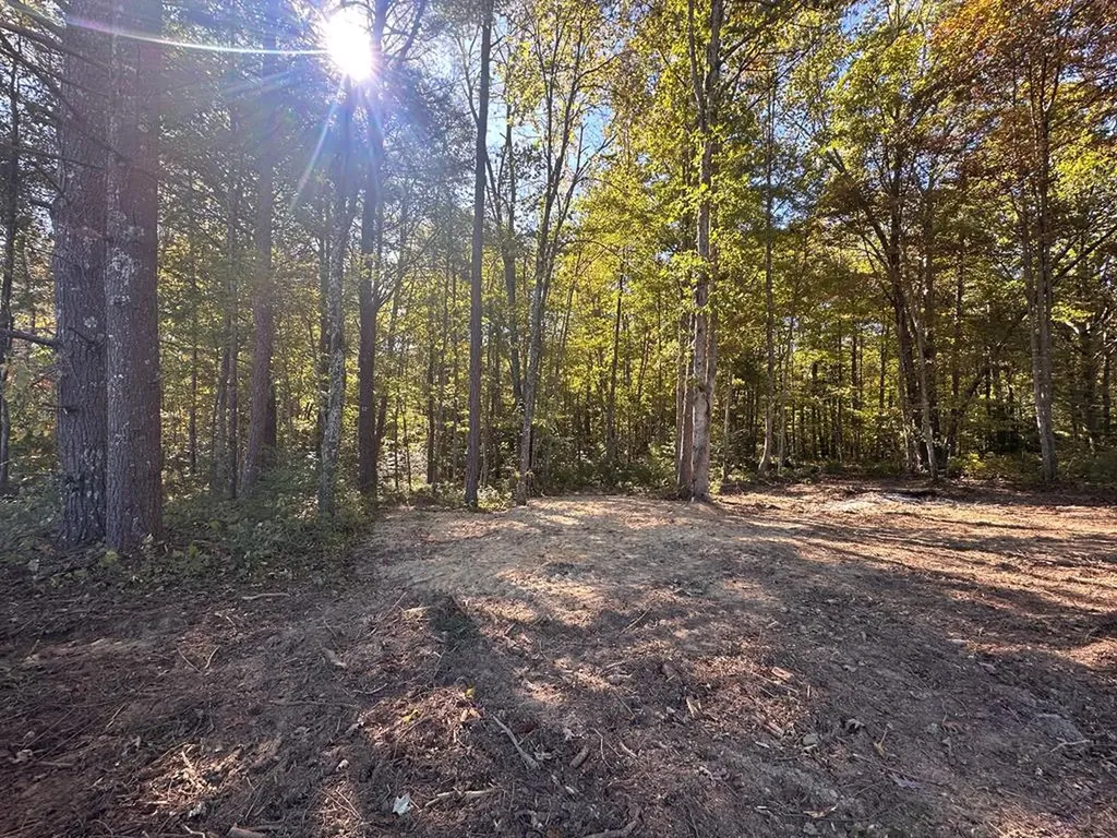 18.6 Acres Cave Branch Road Allardt TN 38504