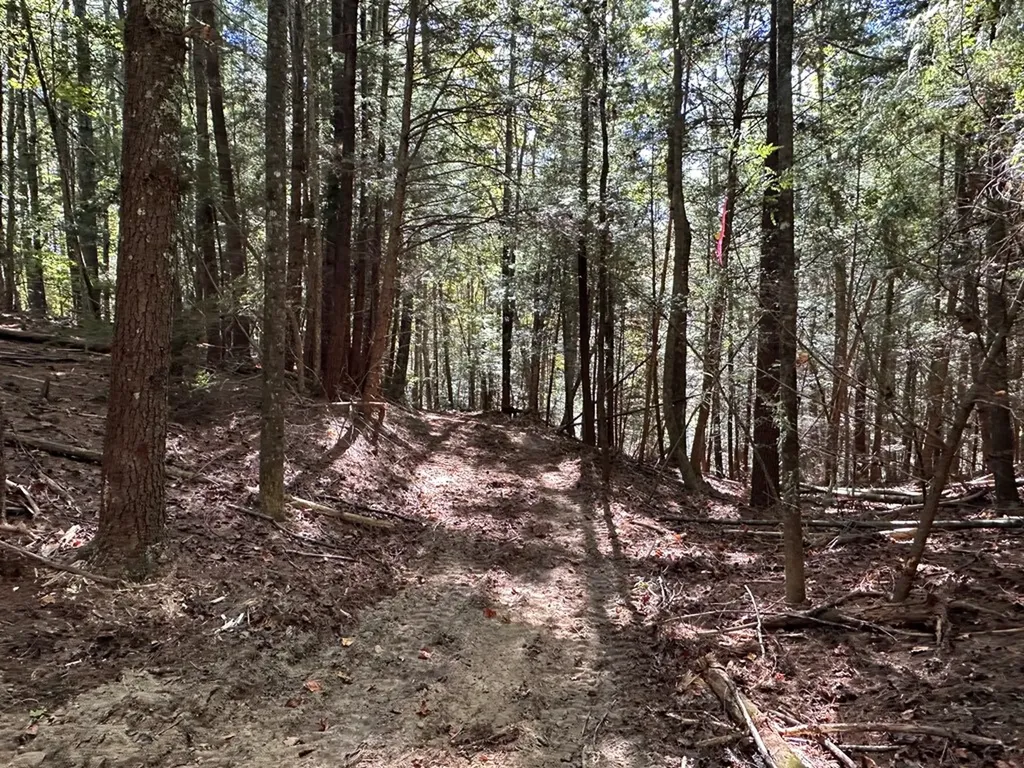 18.6 Acres Cave Branch Road Allardt TN 38504