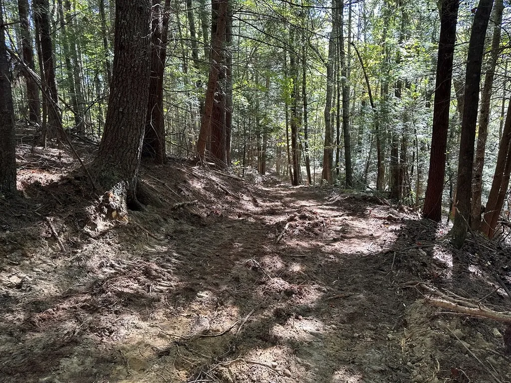 18.6 Acres Cave Branch Road Allardt TN 38504