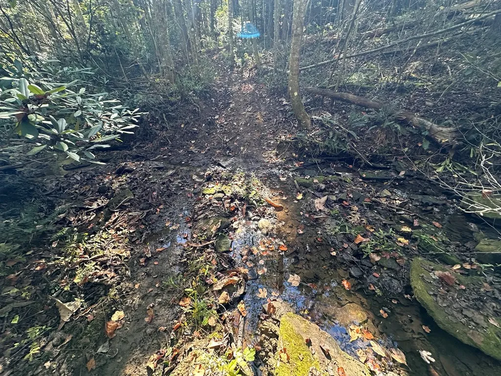 18.6 Acres Cave Branch Road Allardt TN 38504