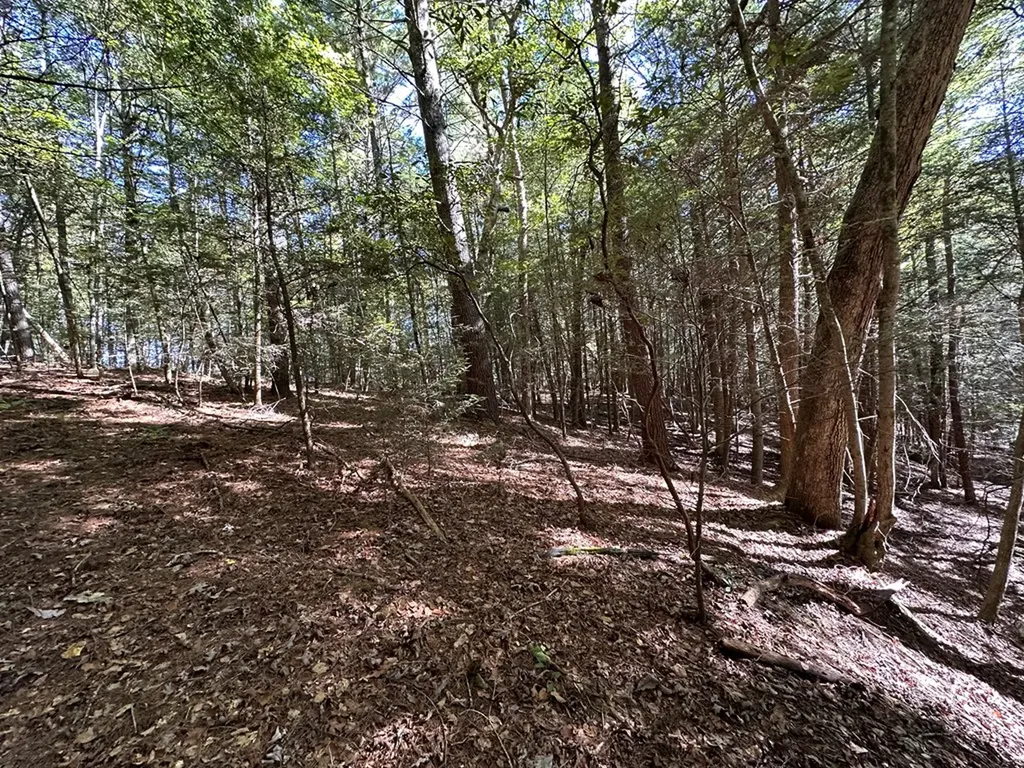 18.6 Acres Cave Branch Road Allardt TN 38504
