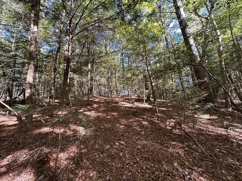 18.6 Acres Cave Branch Road Allardt TN 38504