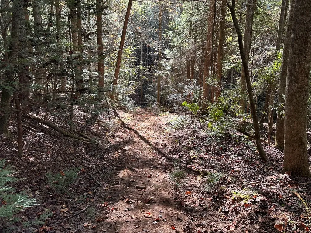 18.6 Acres Cave Branch Road Allardt TN 38504