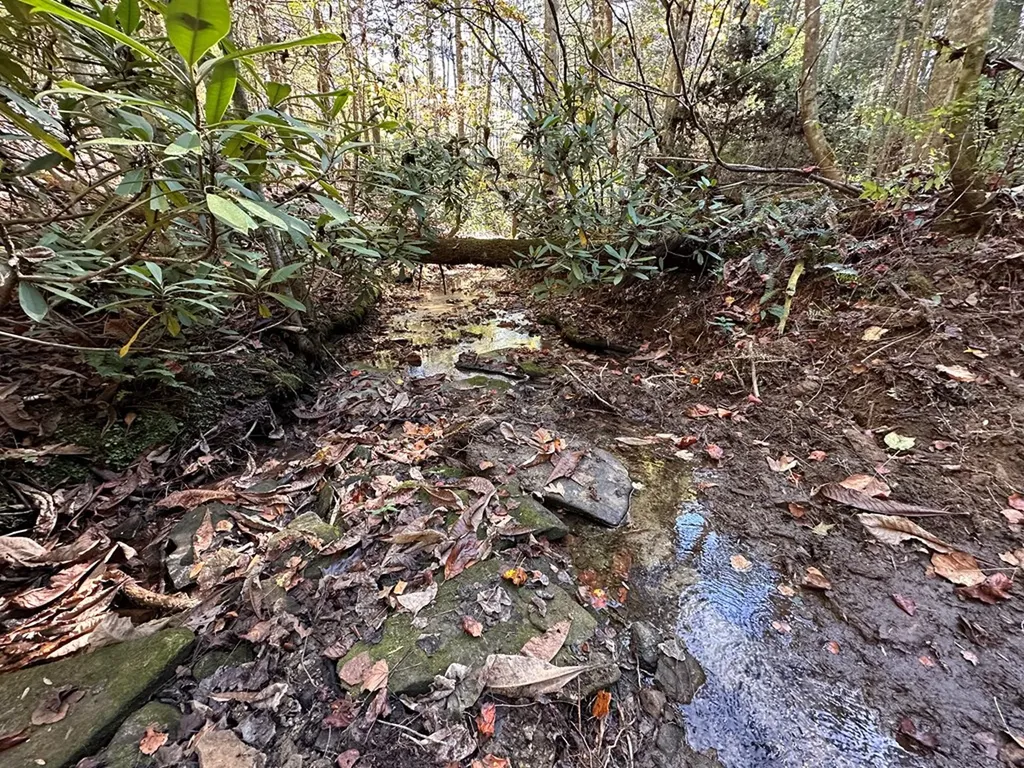 18.6 Acres Cave Branch Road Allardt TN 38504