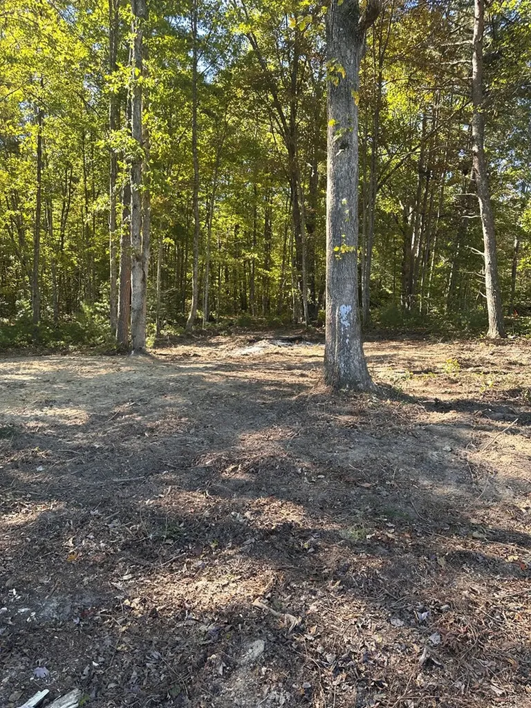 18.6 Acres Cave Branch Road Allardt TN 38504