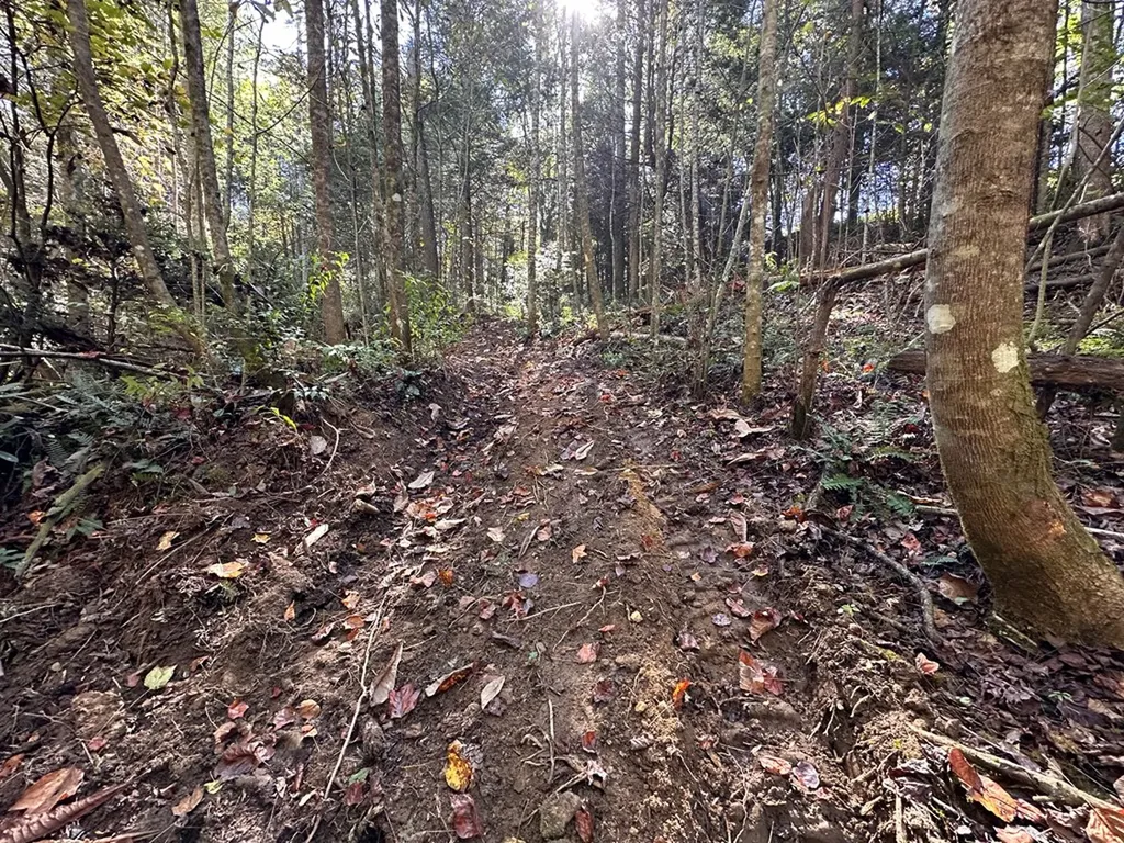 18.6 Acres Cave Branch Road Allardt TN 38504