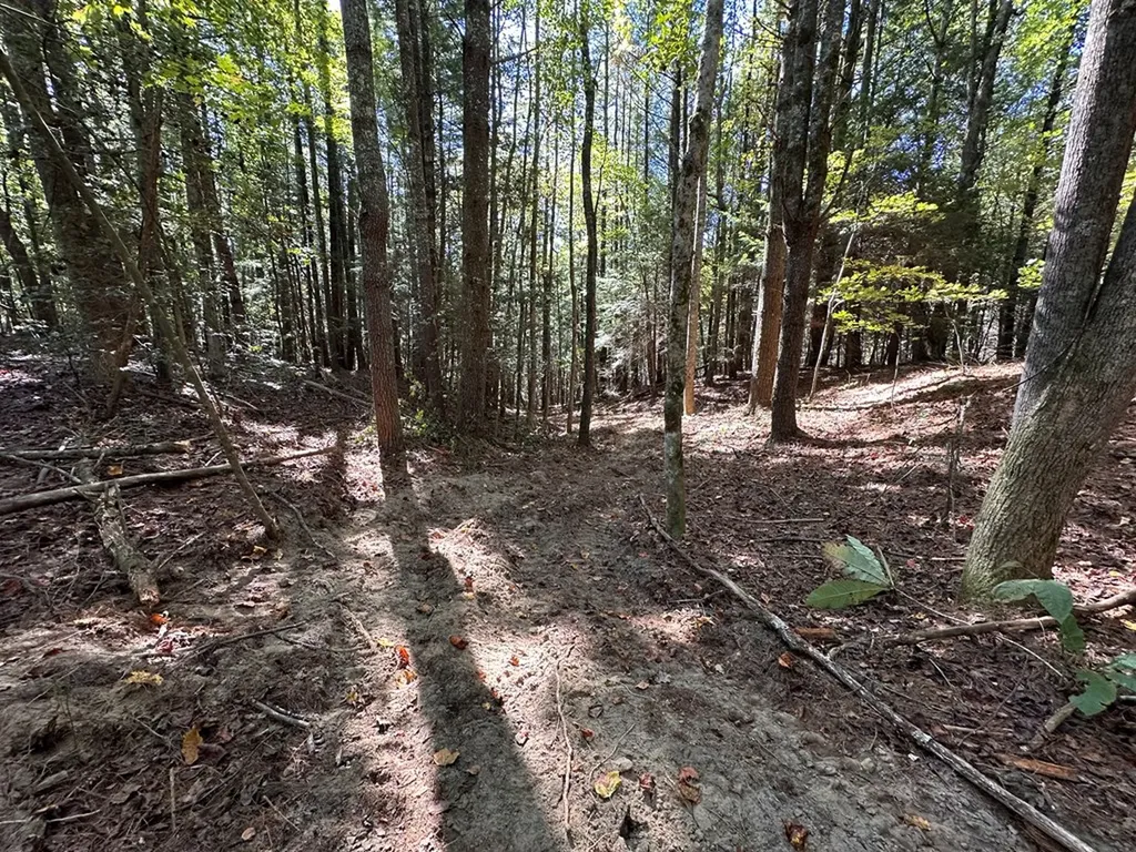 18.6 Acres Cave Branch Road Allardt TN 38504