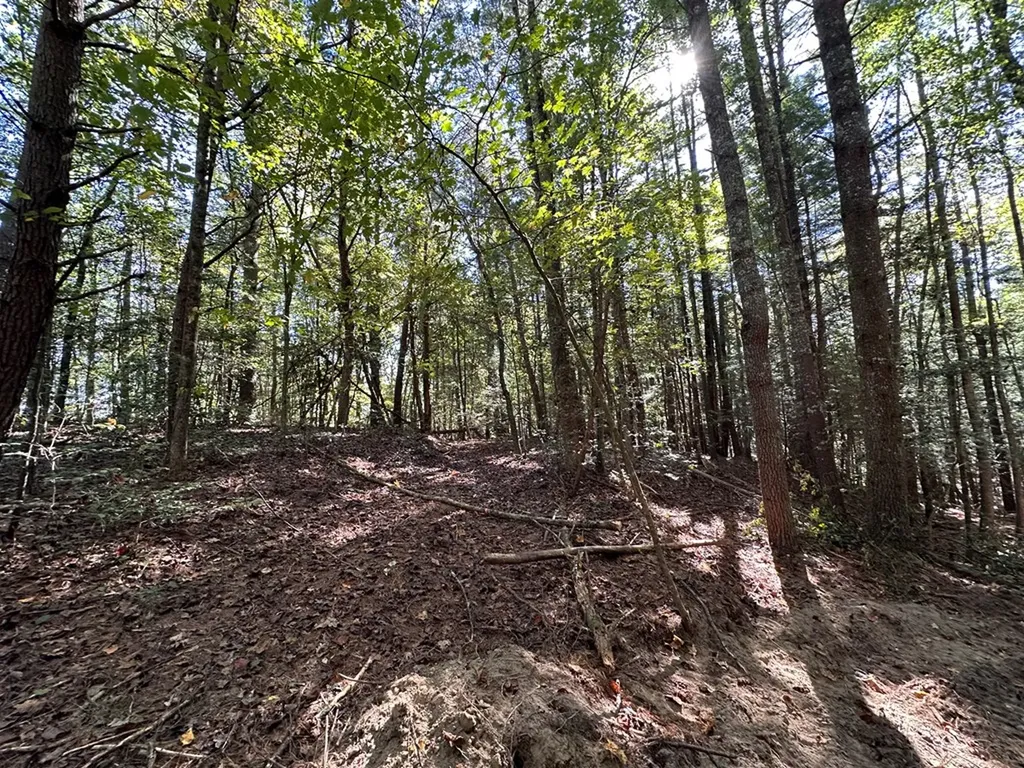 18.6 Acres Cave Branch Road Allardt TN 38504