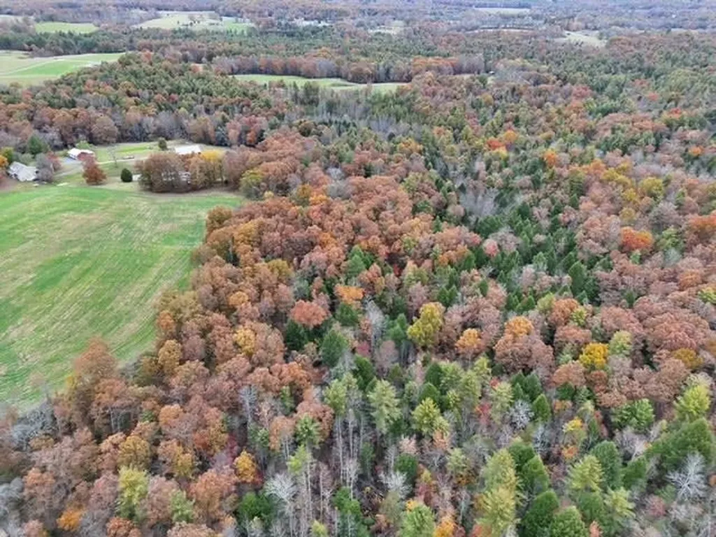 18.6 Acres Cave Branch Road Allardt TN 38504