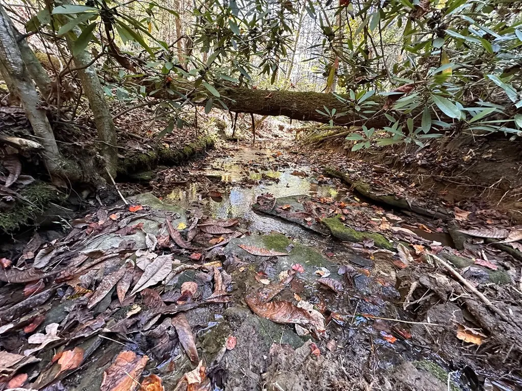 18.6 Acres Cave Branch Road Allardt TN 38504