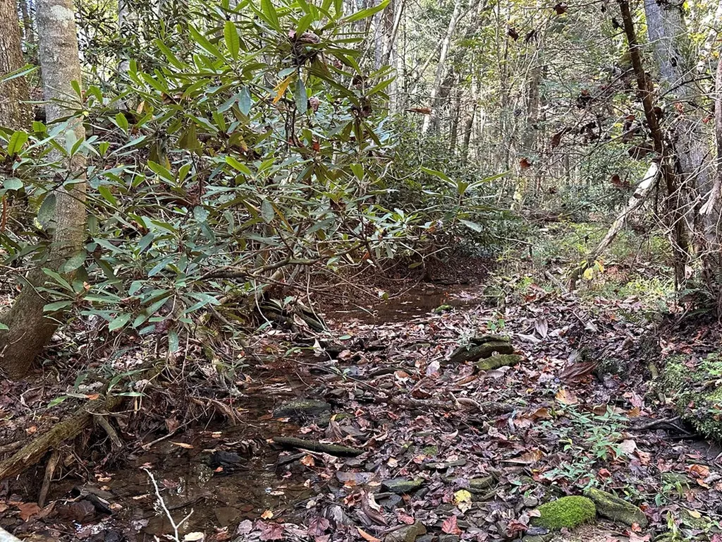 18.6 Acres Cave Branch Road Allardt TN 38504