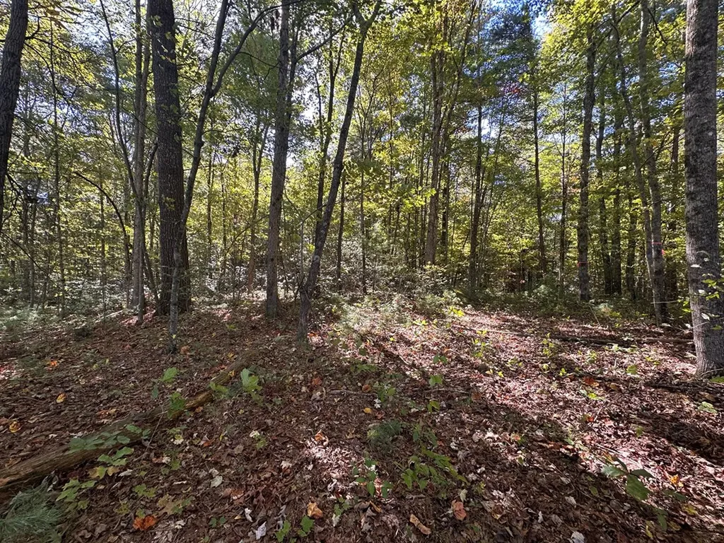 18.6 Acres Cave Branch Road Allardt TN 38504