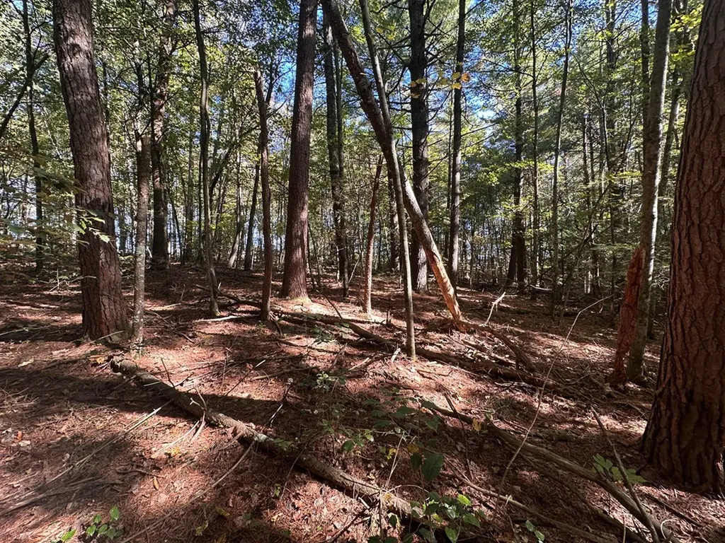 18.6 Acres Cave Branch Road Allardt TN 38504