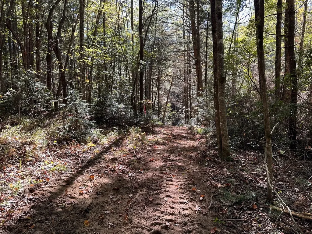 18.6 Acres Cave Branch Road Allardt TN 38504