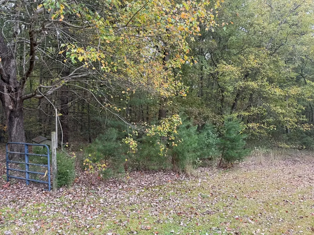 531 Mary Cromwell Road Jamestown TN 38556