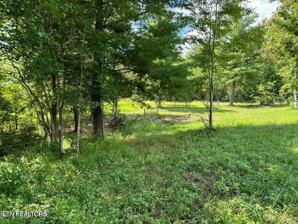 216 Valerie Drive (8.53 Acres) Deer Lodge TN 37726-3506