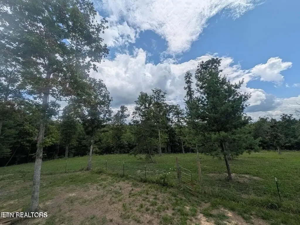 216 Valerie Drive (8.53 Acres) Deer Lodge TN 37726-3506