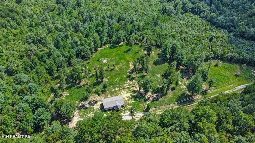 216 Valerie Drive (8.53 Acres) Deer Lodge TN 37726-3506