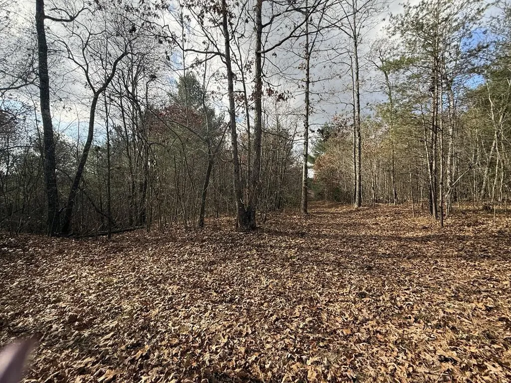 0 Valerie Drive Deer Lodge TN 37726-3506