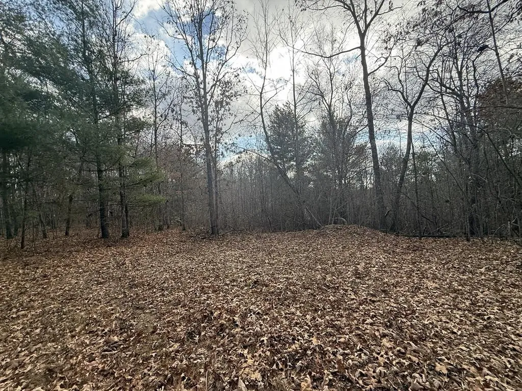 0 Valerie Drive Deer Lodge TN 37726-3506