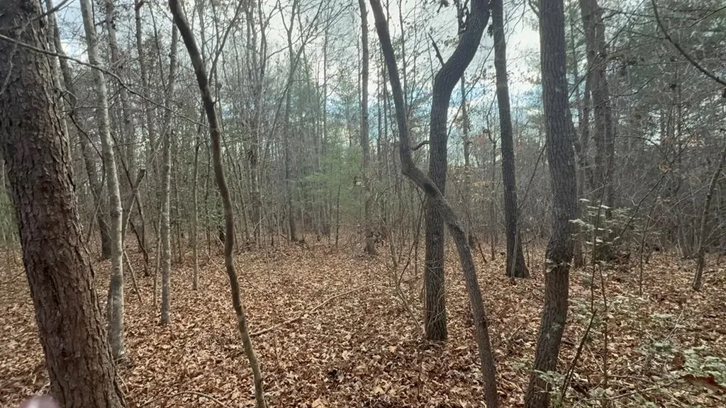 0 Valerie Drive Deer Lodge TN 37726-3506