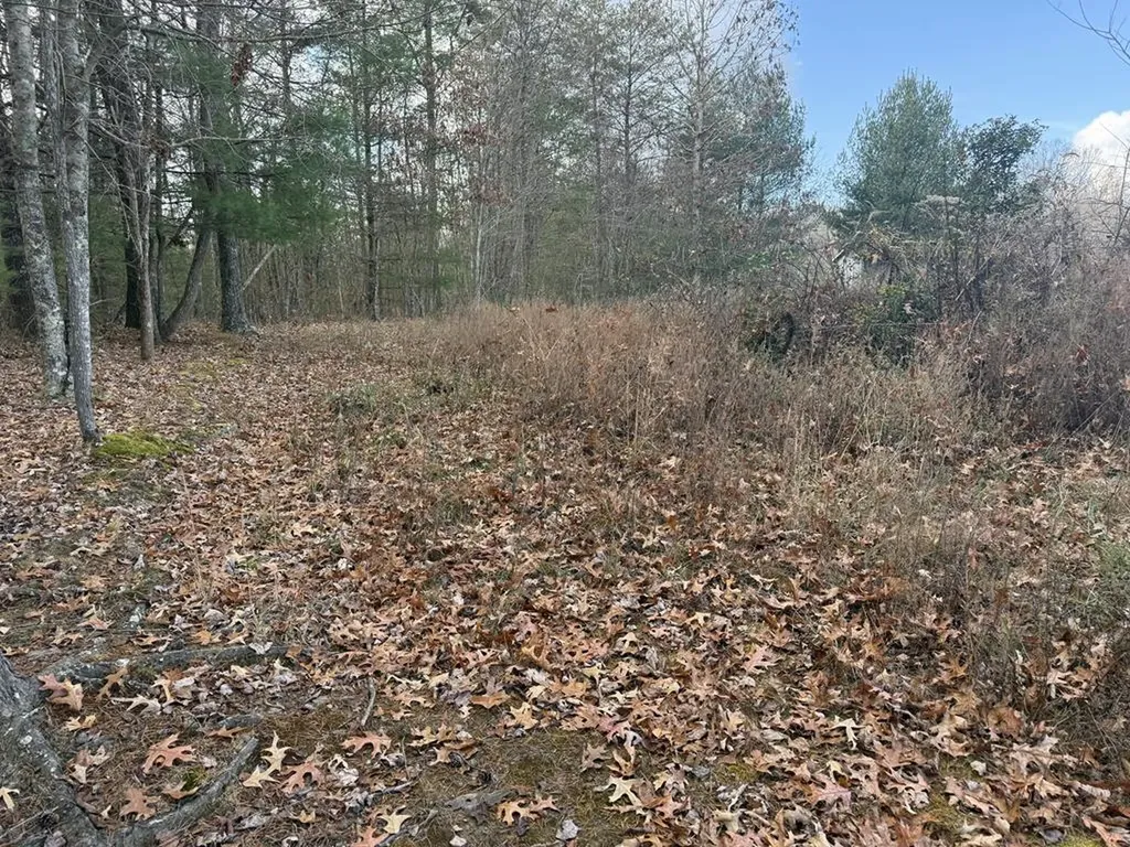 0 Valerie Drive Deer Lodge TN 37726-3506