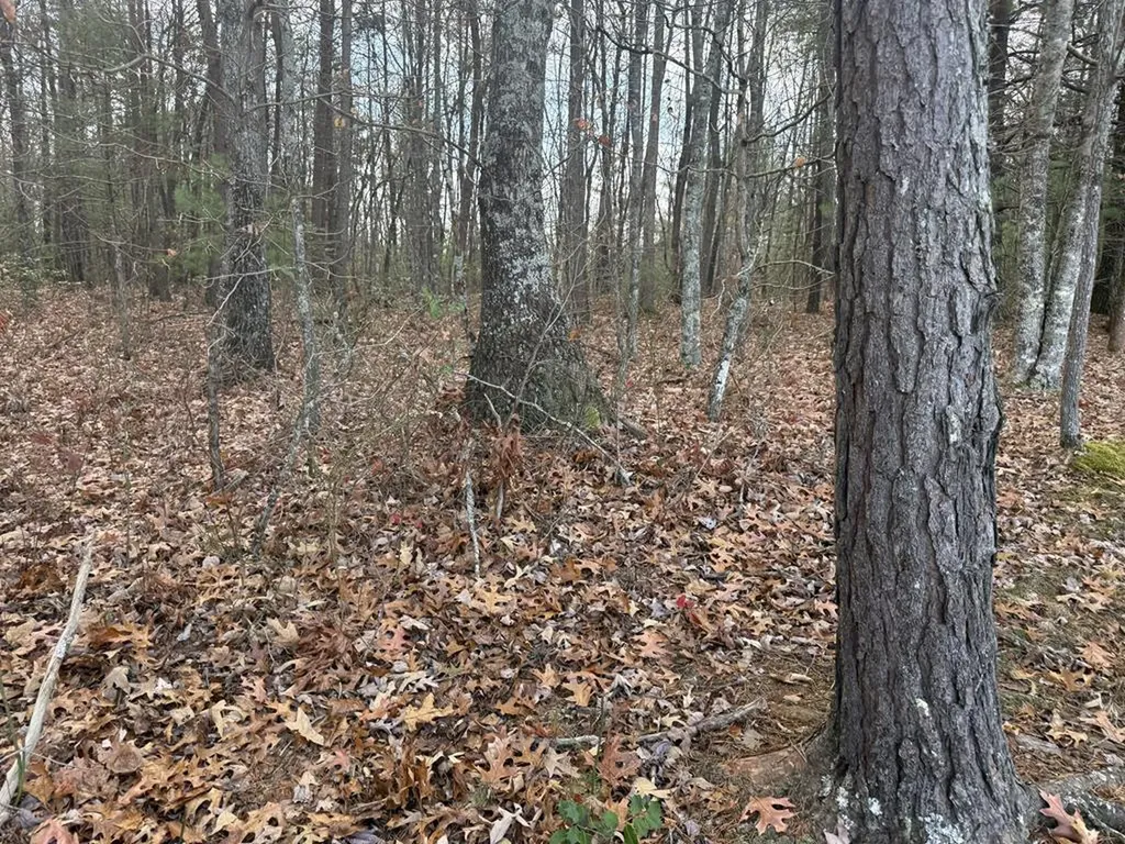 0 Valerie Drive Deer Lodge TN 37726-3506