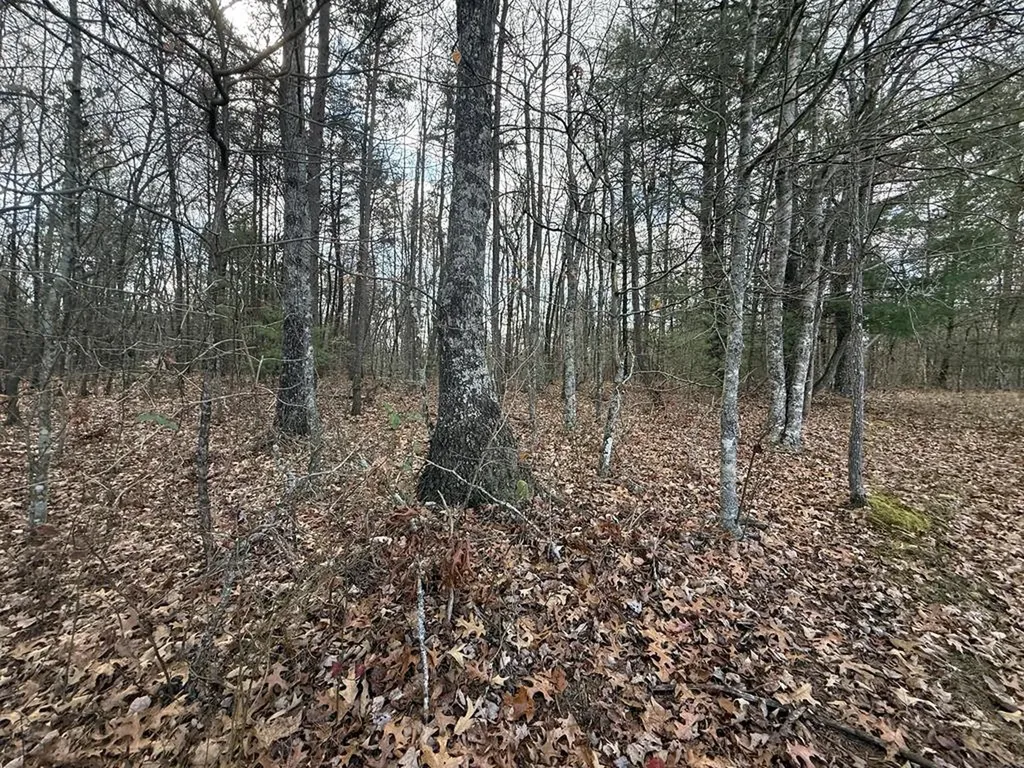 0 Valerie Drive Deer Lodge TN 37726-3506