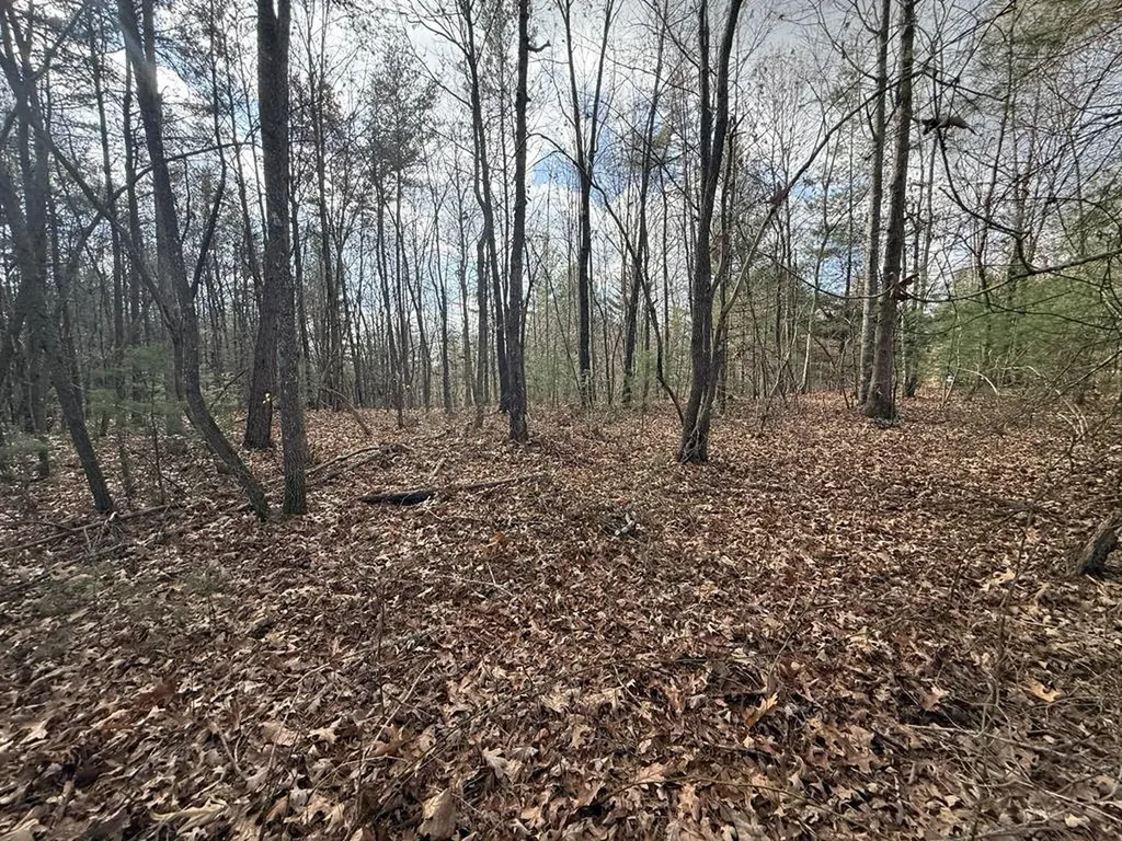 0 Valerie Drive Deer Lodge TN 37726-3506