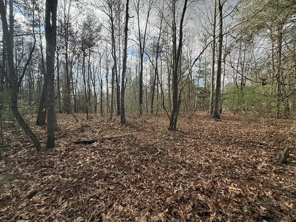 0 Valerie Drive Deer Lodge TN 37726-3506
