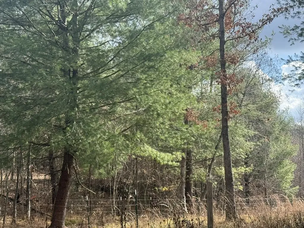 0 Valerie Drive Deer Lodge TN 37726-3506
