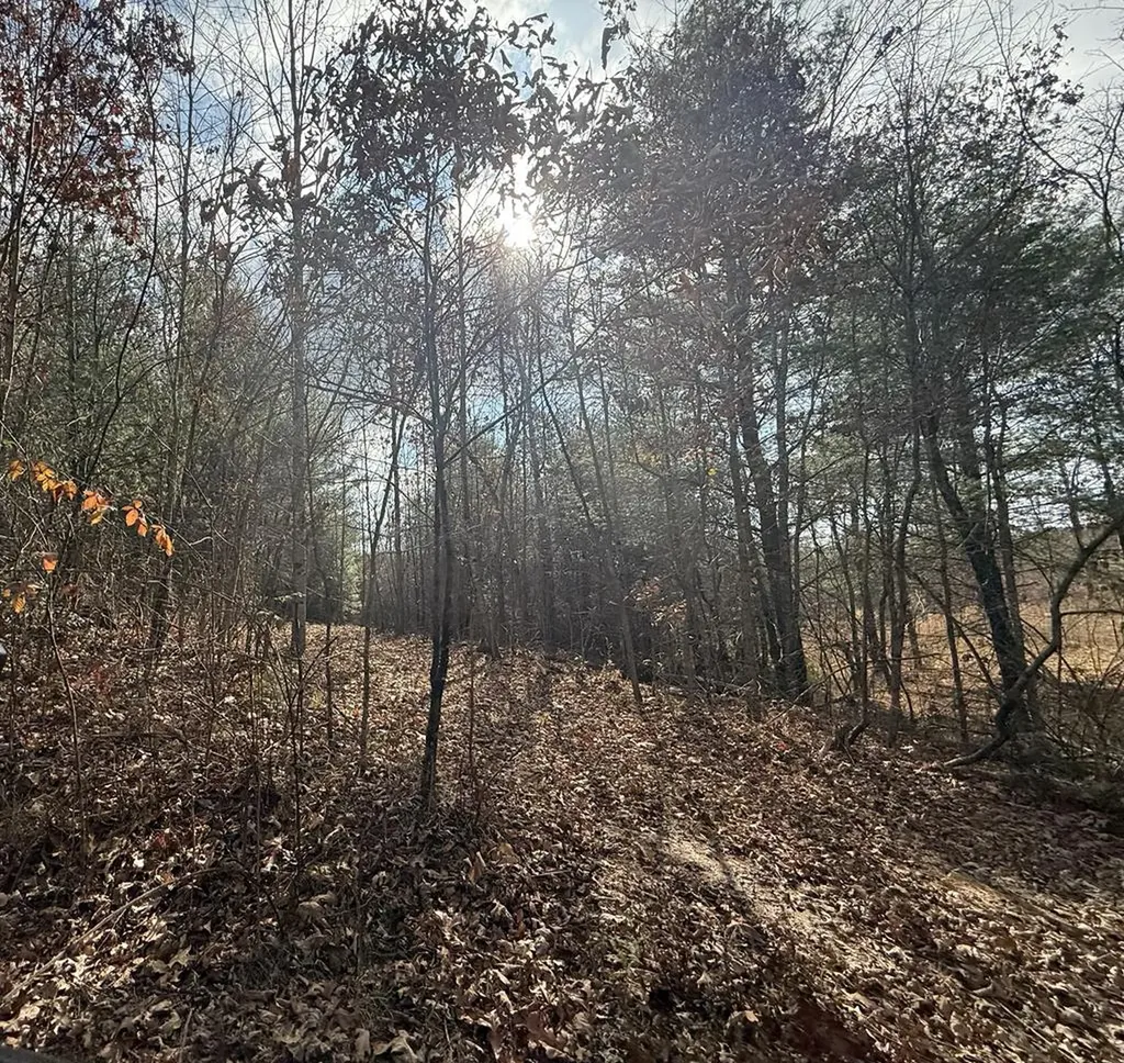 0 Valerie Drive Deer Lodge TN 37726-3506