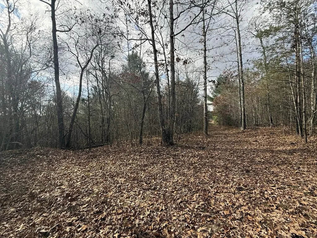 0 Valerie Drive Deer Lodge TN 37726-3506