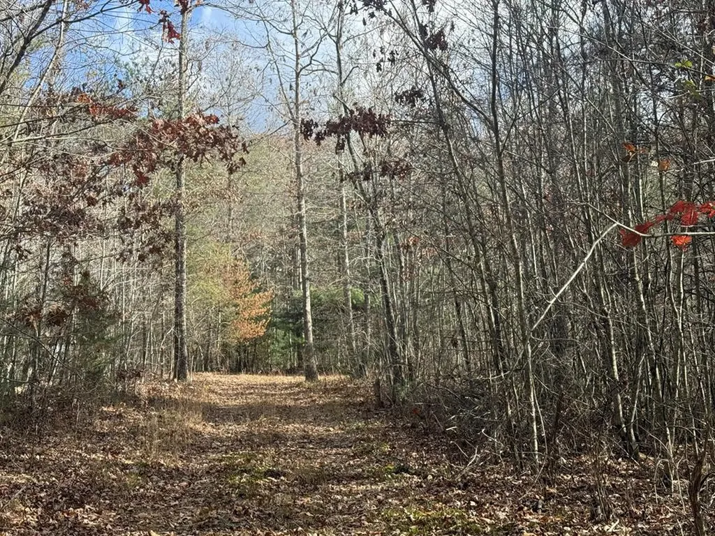 0 Valerie Drive Deer Lodge TN 37726-3506