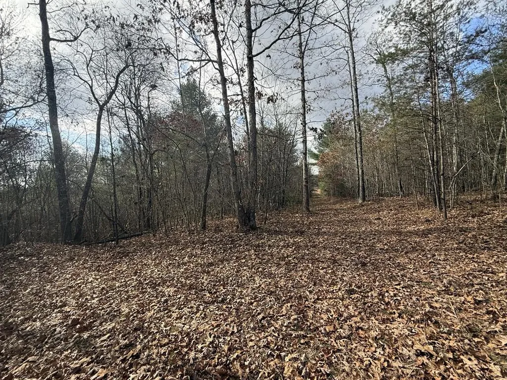 0 Valerie Drive Deer Lodge TN 37726-3506