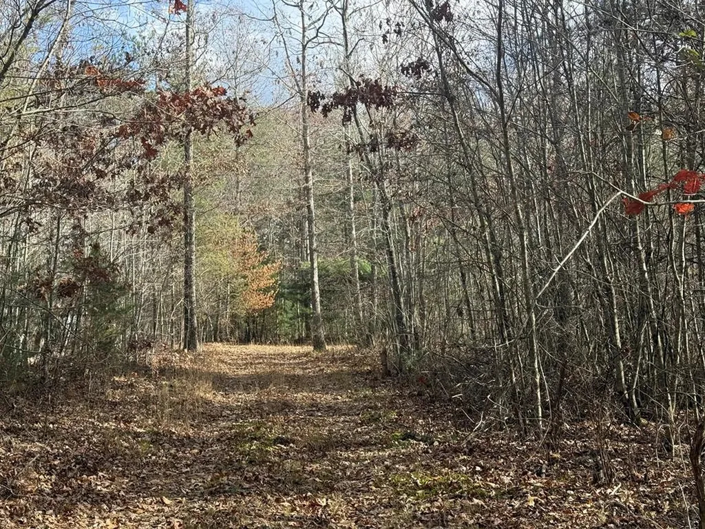 0 Valerie Drive Deer Lodge TN 37726-3506