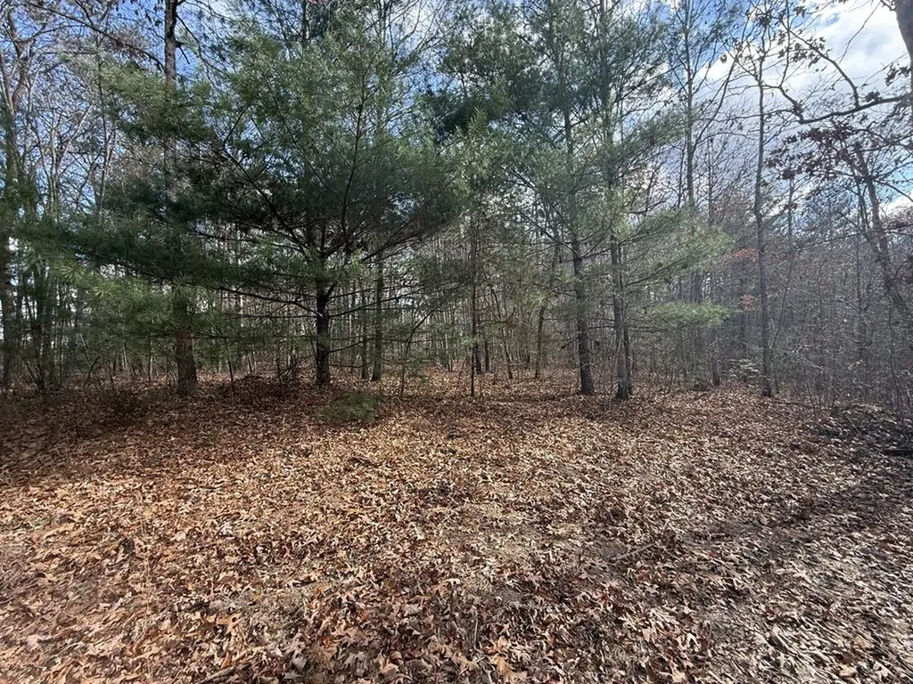 0 Valerie Drive Deer Lodge TN 37726-3506